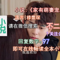 家有萌妻宠上天全文免费阅读,豪门宠文，爱恨纠葛，甜蜜升级