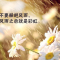 充满阳光正能量的图片,点亮生活，温暖心灵