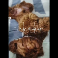 动一动吧打一字,探寻汉字奥秘