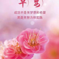 每一天努力坚持的句子,铸就辉煌——我的成长之路”